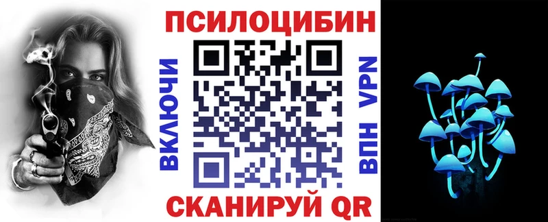 где купить наркоту  Краснослободск  Галлюциногенные грибы Cubensis 